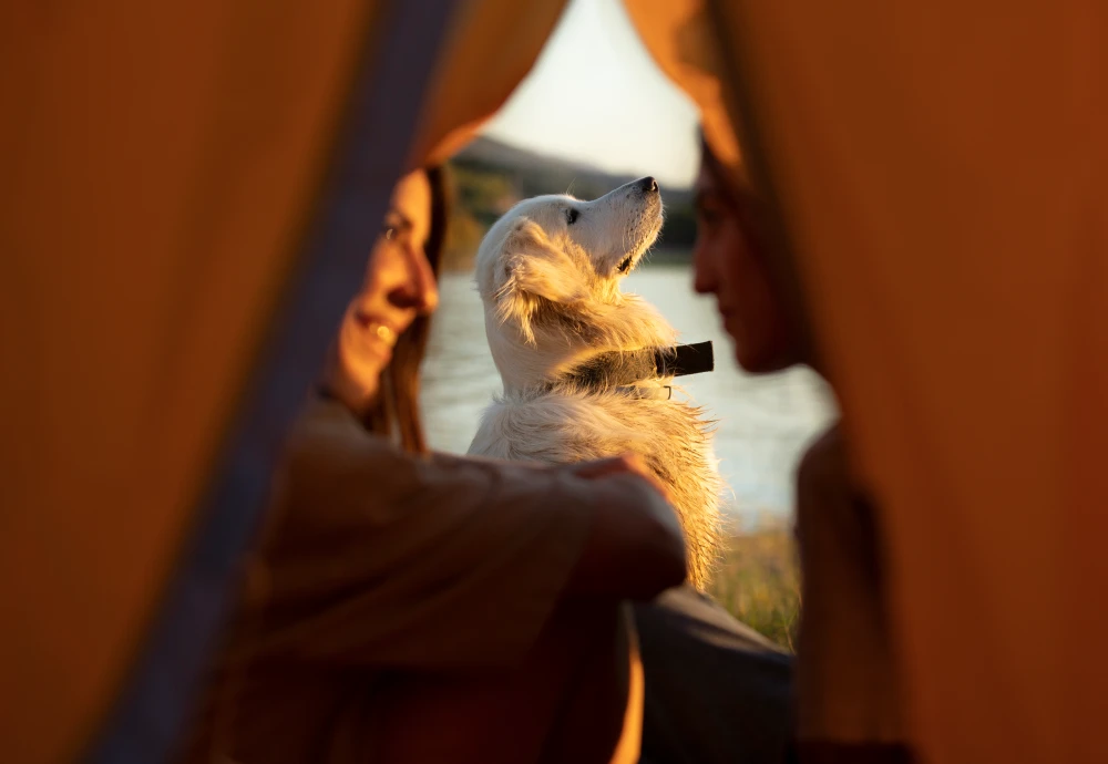 ultralight waterproof tent