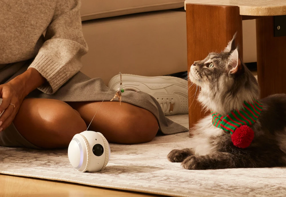 best indoor camera for pets
