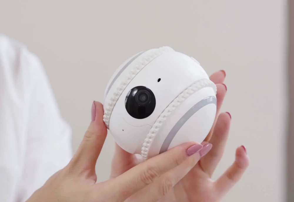camera to watch pets while away